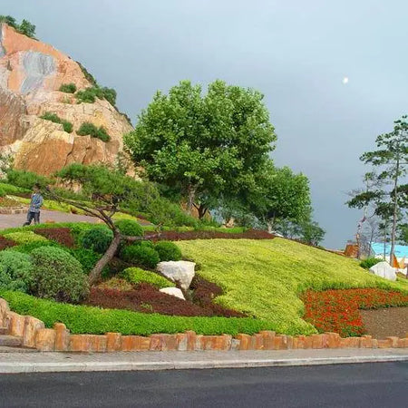Haizhiyun Park Coastal Cliff Walk and Weird Slope Marvel