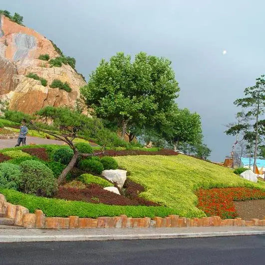 Haizhiyun Park Coastal Cliff Walk and Weird Slope Marvel