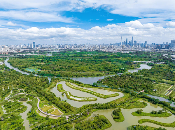 Haizhu Wetland Park