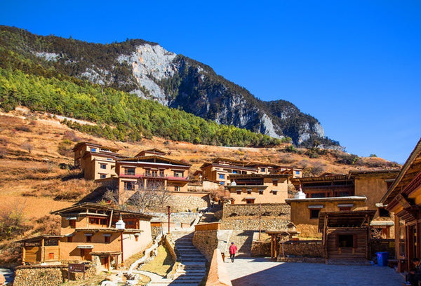 Hamugu Tibetan Old Village Heritage Timber House Tour