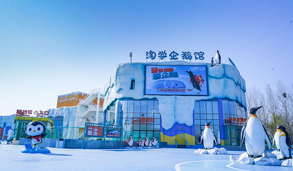 Harbin Polarland