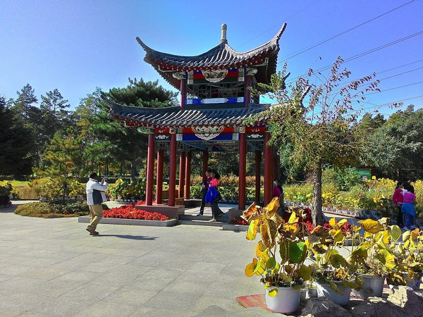 Heilongjiang Forest Botanical Garden