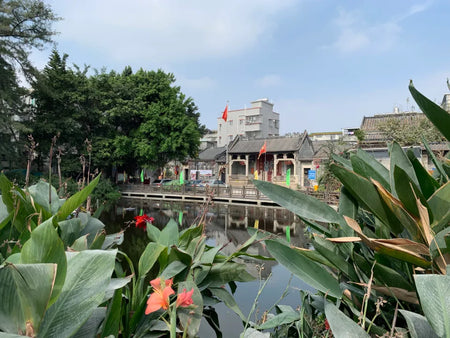 Huangpu Ancient Port