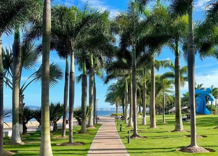 Island Ring Road Coastal Cycling and Sunset Beach Promenade