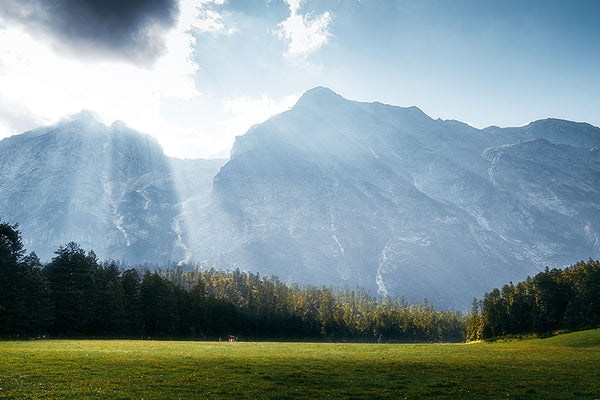 Jade Dragon Snow Mountain Spruce Meadow (Yunshan Ping)