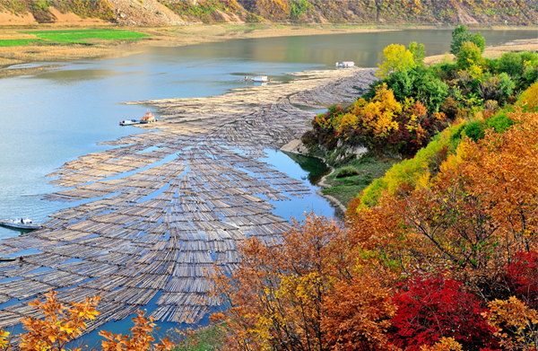 Ji'an Yalu River Traditional Raft Drift