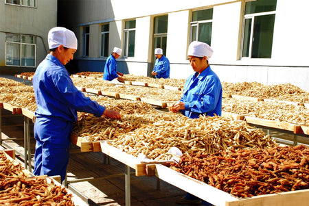 Jilin City Centennial Ginseng Market