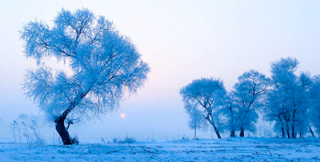 Jilin Rime Island Winter Promenade (Wula Street)