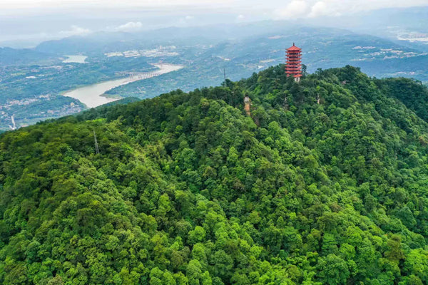 Jinyun Mountain National Park
