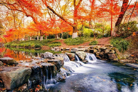 Jiuxi Meiling Mountain Valley Track (Nine Creeks)
