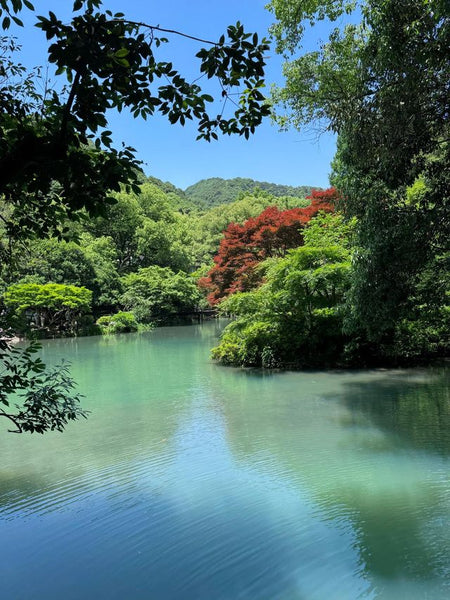 Jiuxi Smoke and Trees Pool (Jiuxi Yanshu)