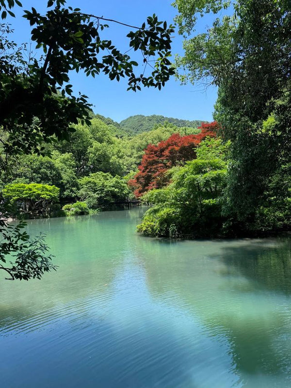 Jiuxi Smoke and Trees Pool (Jiuxi Yanshu)
