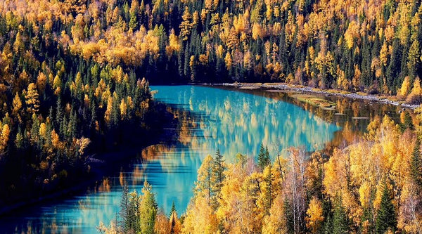 Kanas Lake Scenic Area