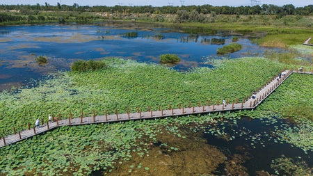 Kashgar River Tuman Wetland National Eco Path