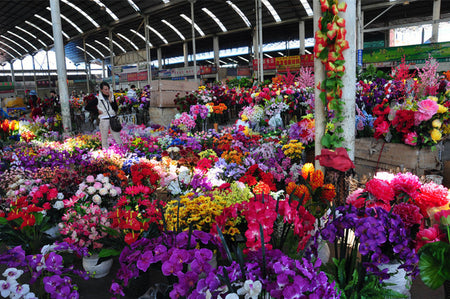 Kunming Dounan Flower Market