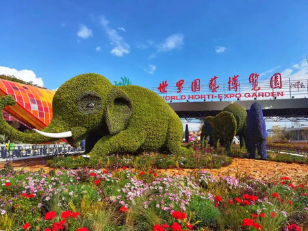 Kunming World Horticultural Expo Garden
