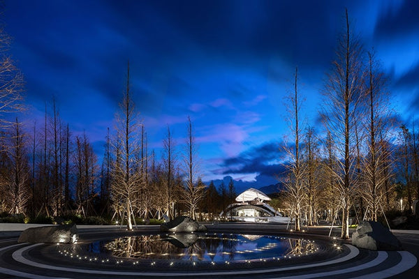 Lake Fuxian Starry Sky Town