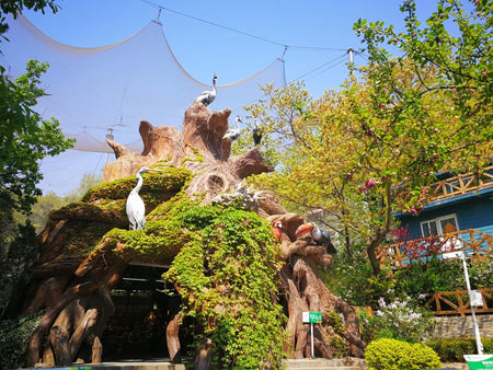 Laohetan Forest Zoo Alpine Wildlife Safari and Gondola Ride