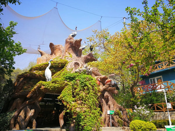 Laohetan Forest Zoo Alpine Wildlife Safari and Gondola Ride