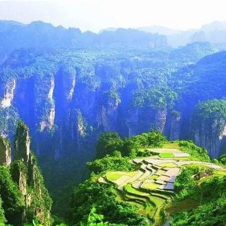 Laowuchang Hidden Primitive Terrace (The Sky Field)