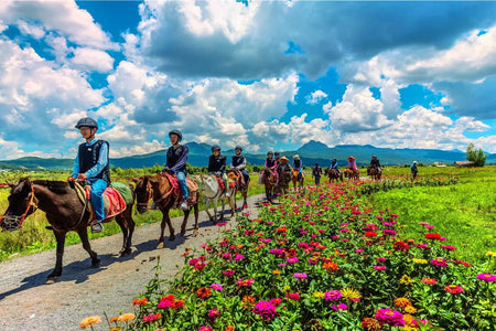 Lashihai Wetland Reserve Equestrian Trail
