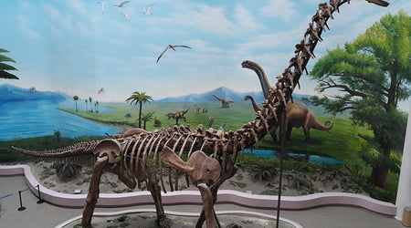Liaoning Paleo-Ontological Museum (Dinosaur Vaults)