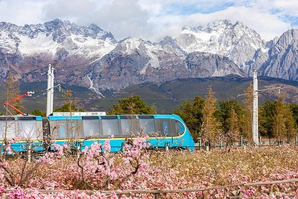 Lijiang City Jade Dragon Snow Line Railway Tour