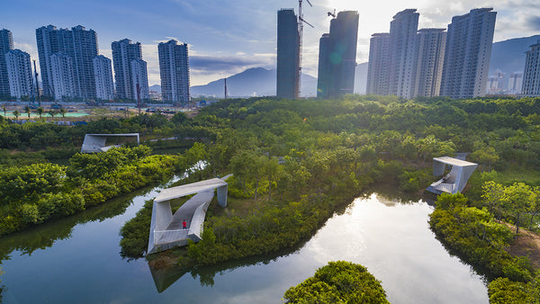 Linchang Village Mangrove Eco-Reserve