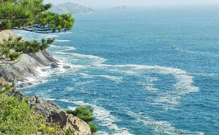 Lingshan Island Coastal Wilderness Track