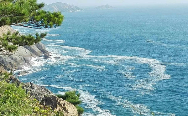 Lingshan Island Coastal Wilderness Track