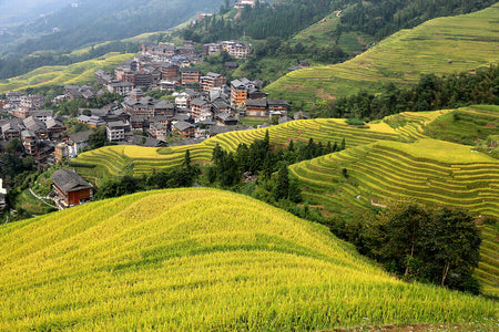 Longji Ancient Zhuang Village