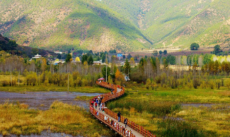 Lugu Lake Caohai Walking Marriage Wooden Bridge