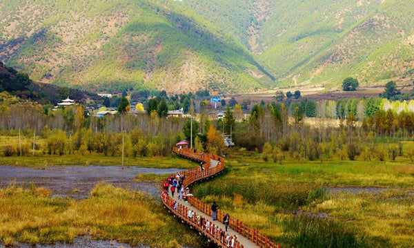 Lugu Lake Caohai Walking Marriage Wooden Bridge