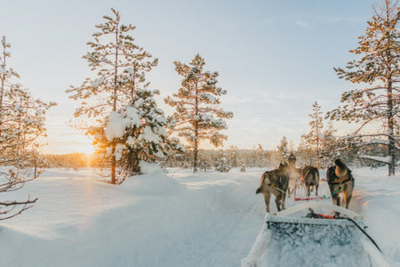 Luoguhe Village Boundary River Sleigh Track