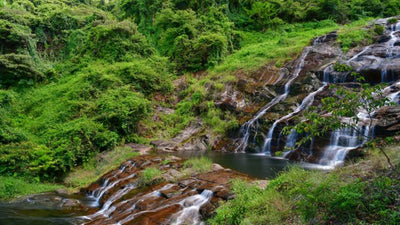 Maluan Mountain Trail