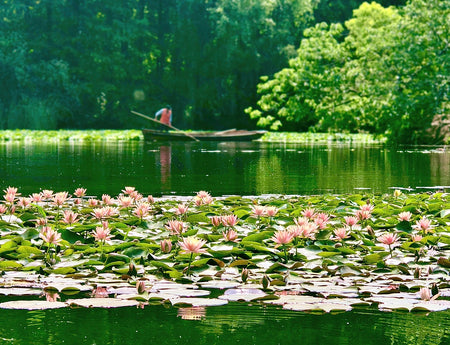 Maojiabu Ecological Wetland (The Secluded West Lake)