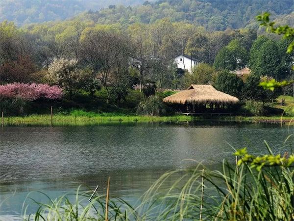 Maojiabu Thatched Cottage Pier
