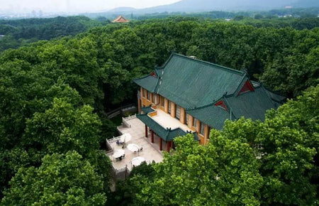 Meiling Palace Green Tile Aviator Mansion