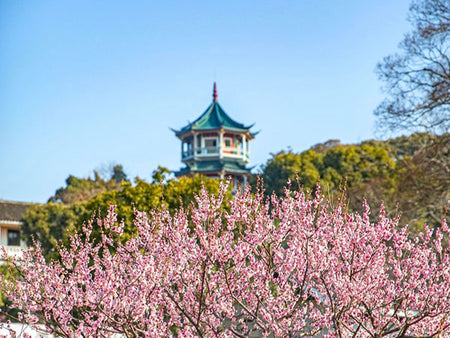 Meiyuan Plum Garden Floral Ridge Track