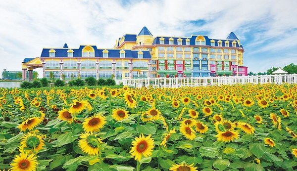 Million Sunflower Garden