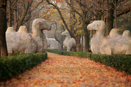 Ming Xiaoling Mausoleum Sacred Animal Avenue Path