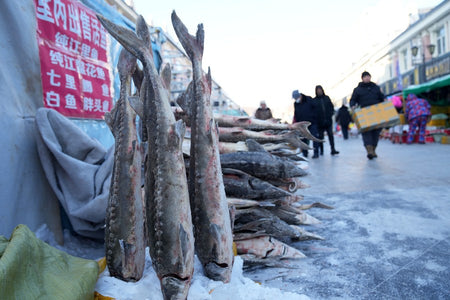 Mohe City Cold Water Fish Gourmet Street