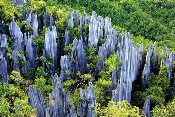 Naigu Stone Forest (Shilin)