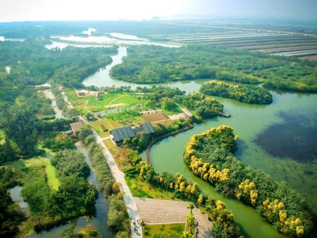 Nansha Wetland Park