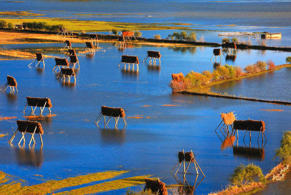 Napa Hai Nature Reserve Seasonal Wetland Circle Highway