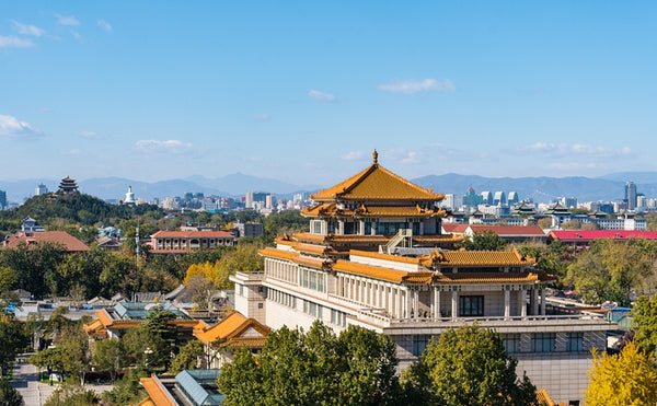National Art Museum of China (NAMOC)