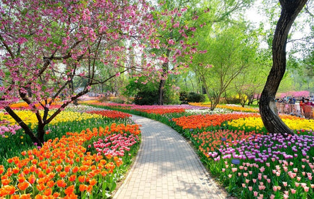 National Botanical Garden