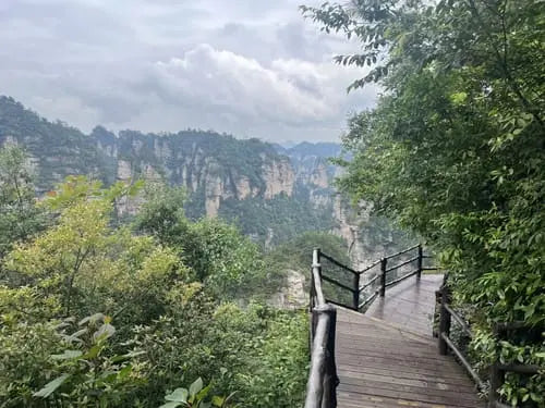 National Forest Park South Gate Eco Boardwalk