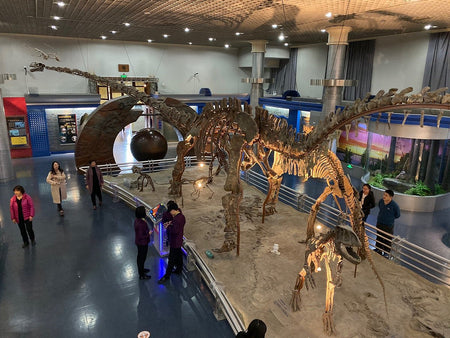 National Museum of Natural History