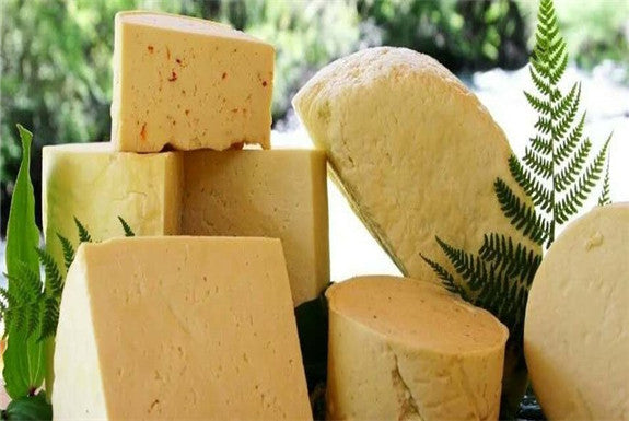 Nixi Longba Village Organic Yak Cheese and Yogurt Tasting